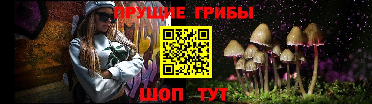 Полевской  Галлюциногенные грибы мицелий  Вход с VPN 